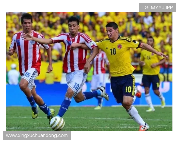 华体会体育官网app实时比分更新让你轻松追踪足球、篮球等多项体育赛事比分